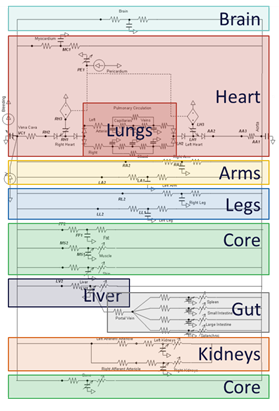 CompartmentExample.png