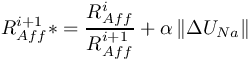 \[R_{Aff}^{i + 1} * = \frac{{R_{Aff}^i}}{{R_{Aff}^{i + 1}}} + \alpha \left\| {\Delta {U_{Na}}} \right\|\]