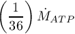 \[ \left( \frac{1}{36} \right) \dot{M}_{ATP} \]
