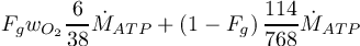\[ F_{g} w_{O_{2}} \frac{6}{38} \dot{M}_{ATP} + \left(1-F_{g} \right) \frac{114}{768} \dot{M}_{ATP} \]